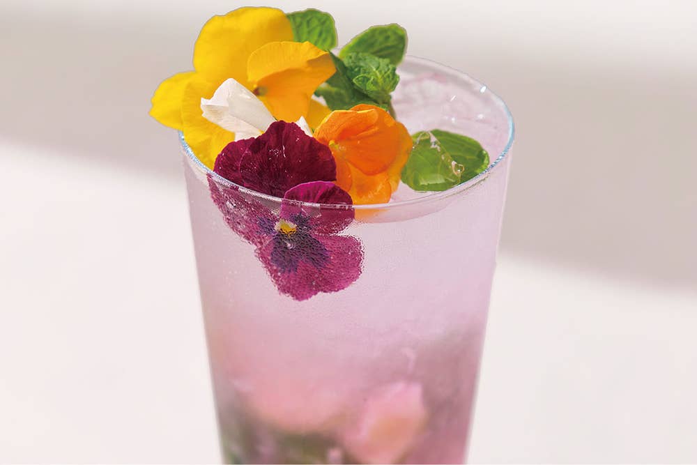 Spring Mojito