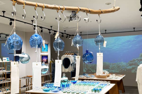 The color of the island in 2025: Blue, Blue, Blue. Exhibition view.