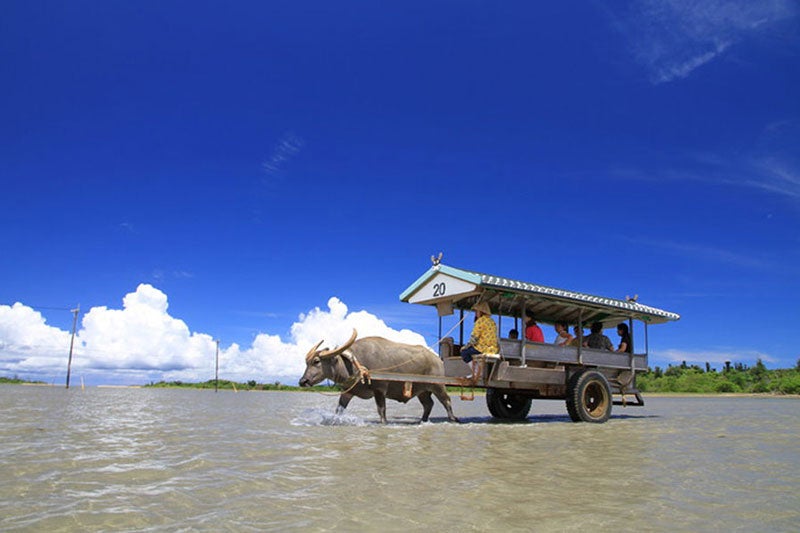 由布島イメージ