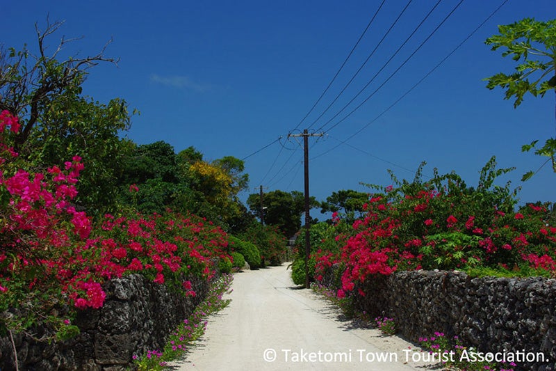 レンタサイクルコース｜竹富島 ｜オプショナルツアー｜アートホテル