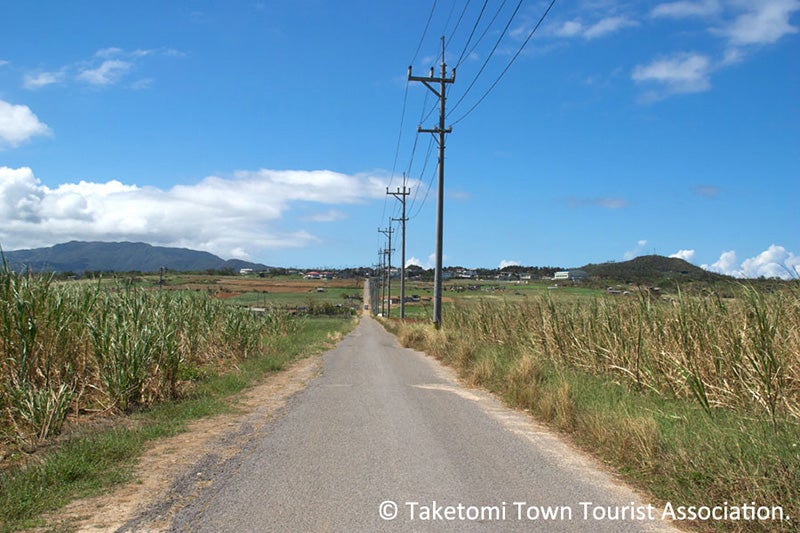 小浜島シュガーロードイメージ
