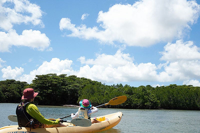 マングローブカヤックイメージ