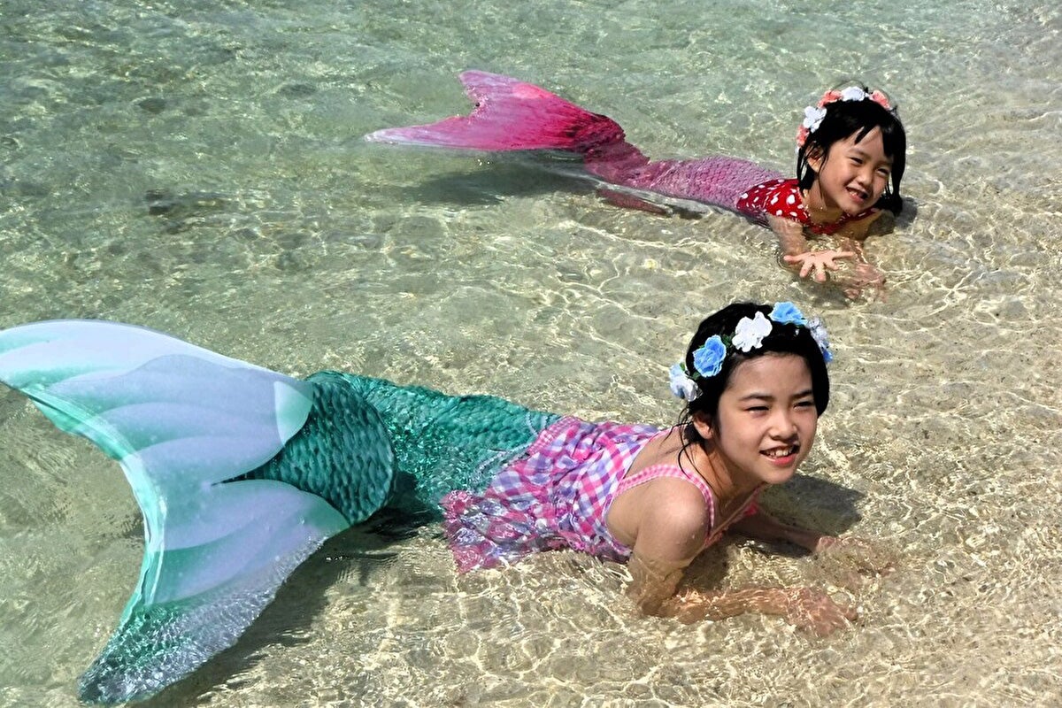 幻の島上陸！フリータイム