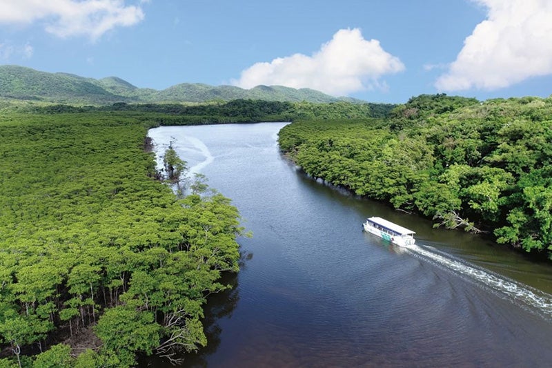 仲間川遊覧イメージ