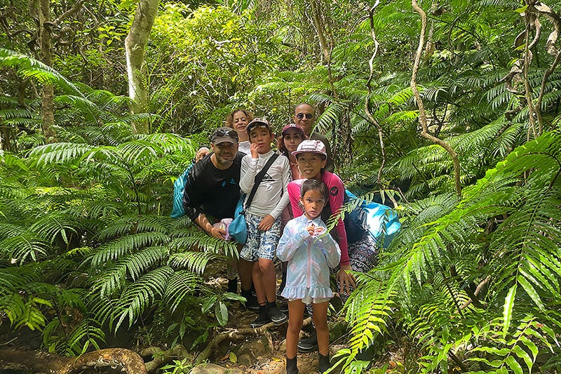 ジャングルトレッキングイメージ