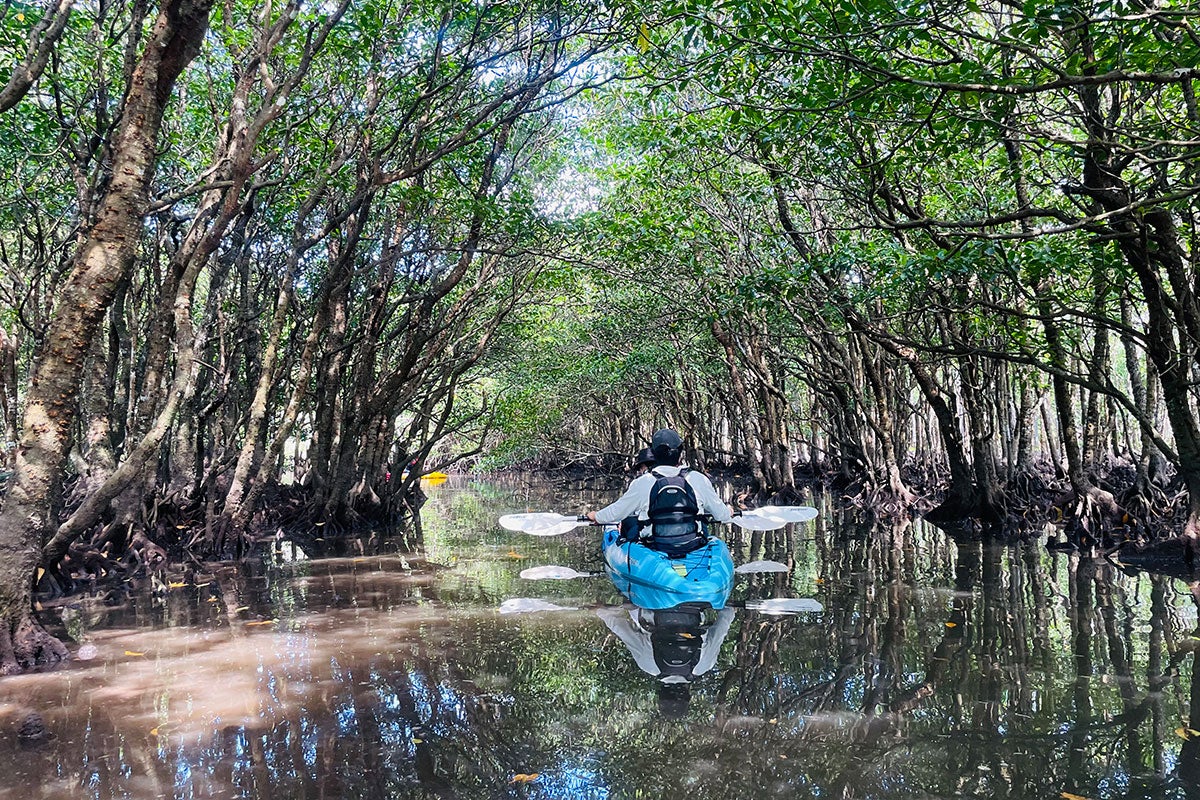 カヌーイメージ