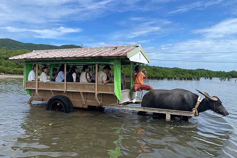 水牛車で海を渡るイメージ