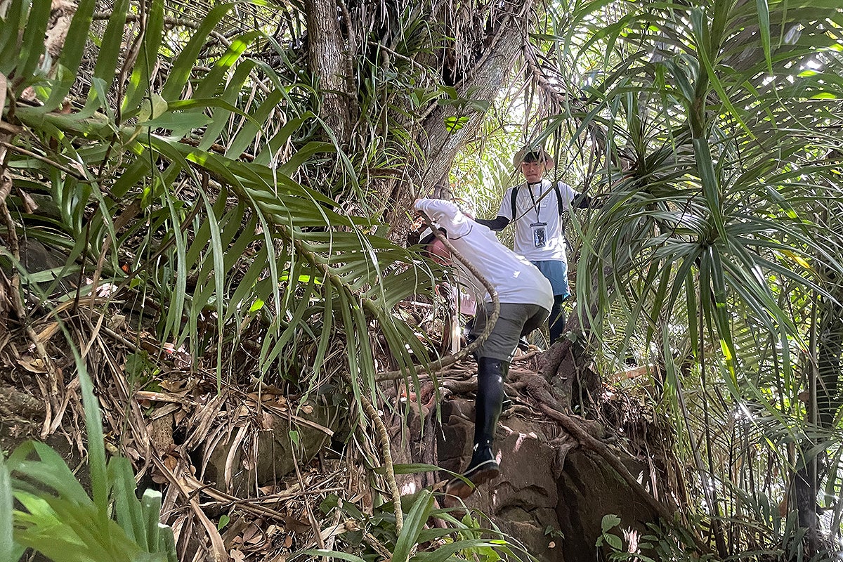トレッキング開始
