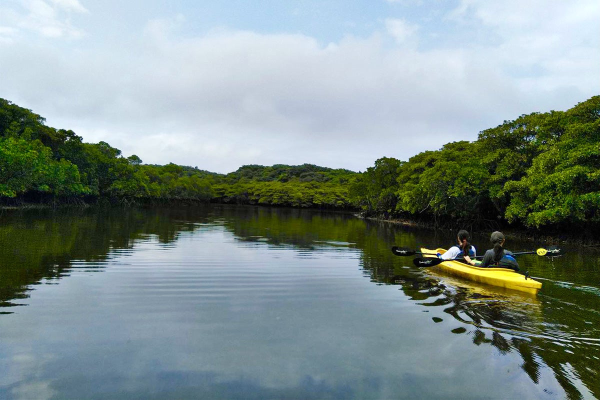 カヌーイメージ