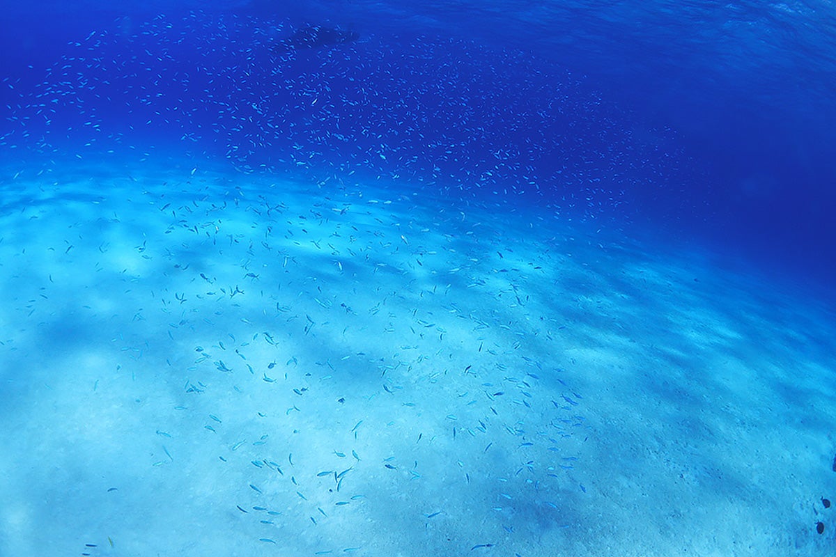 黒島の海イメージ