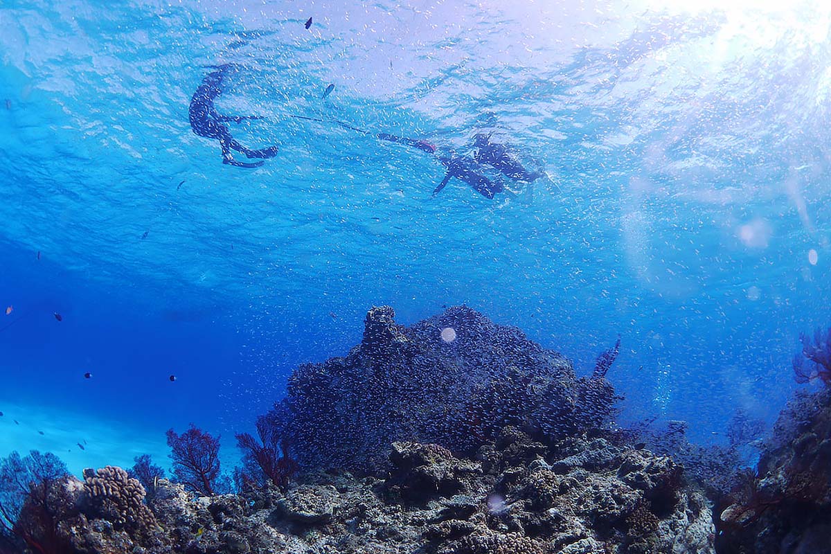 スノーケリングイメージ