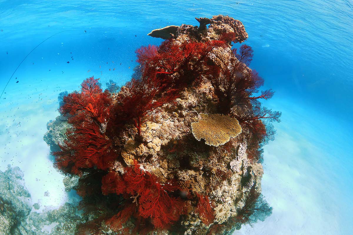 パナリ島の海イメージ