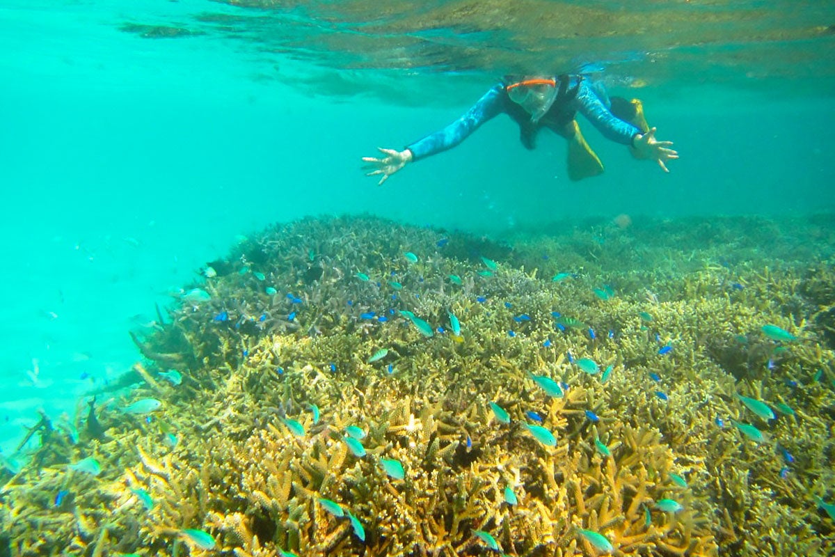 スノーケリングイメージ