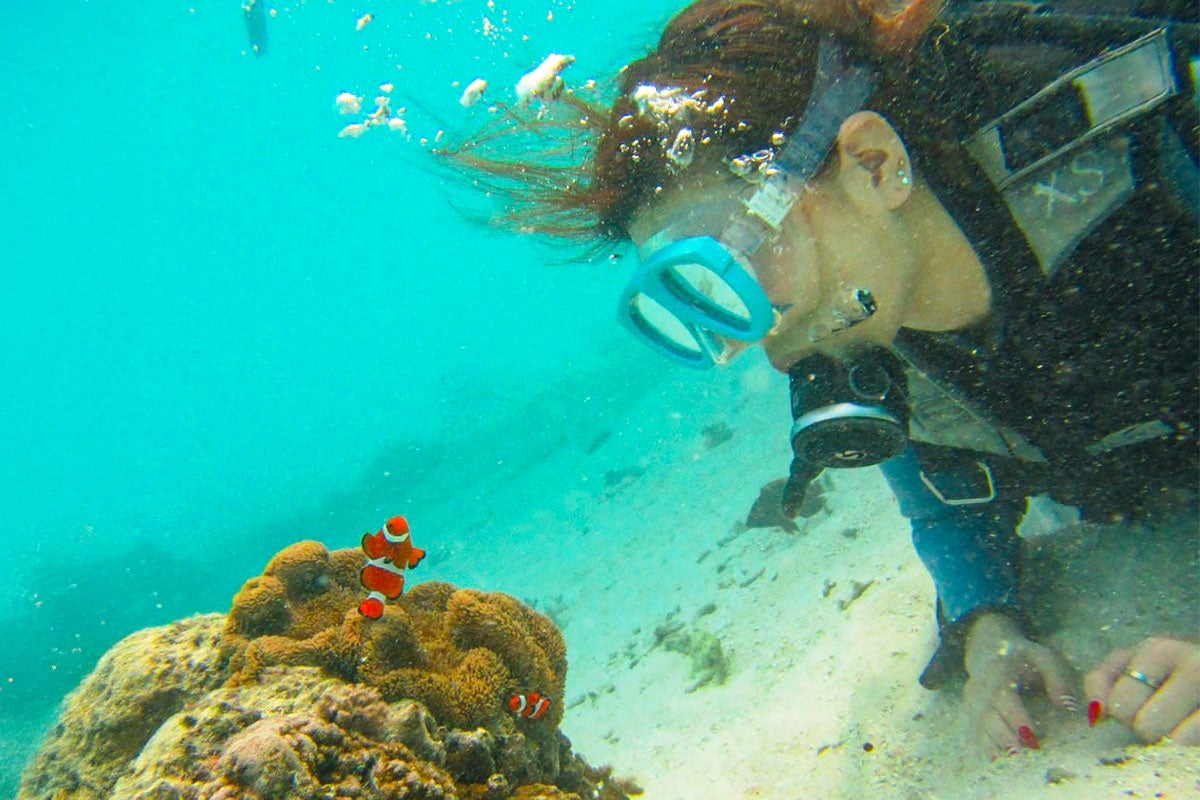 体験ダイビングイメージ