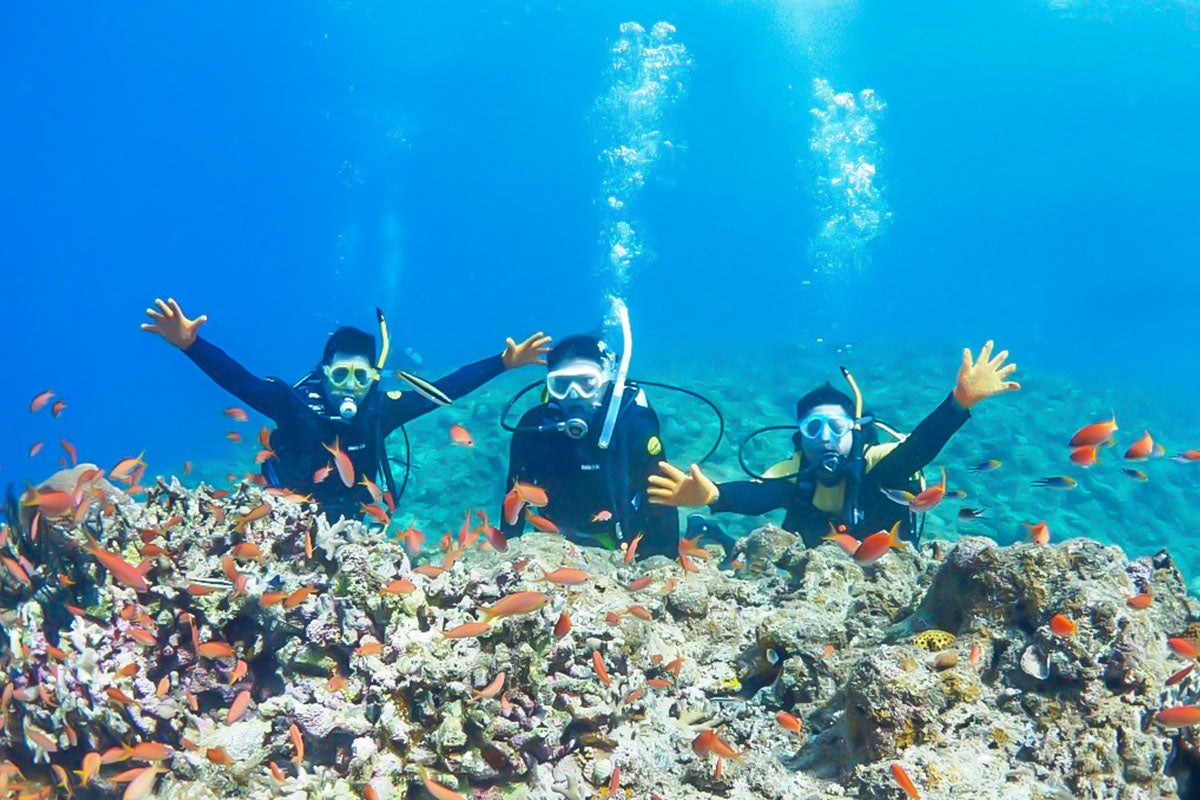 体験ダイビングイメージ