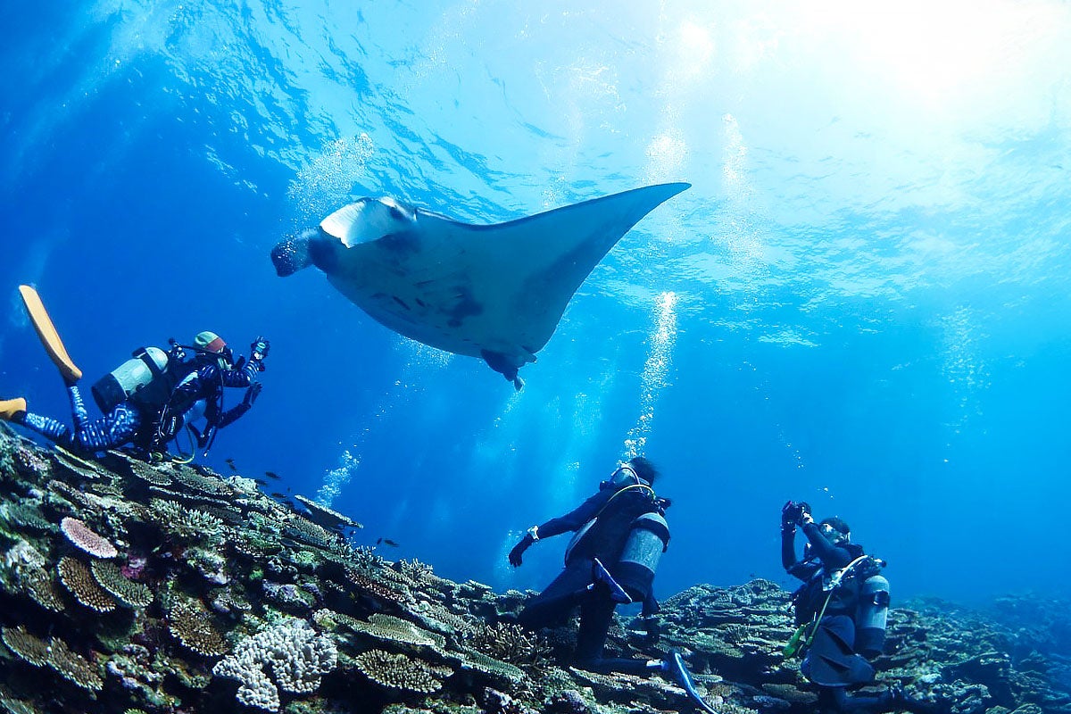 ダイビングイメージ