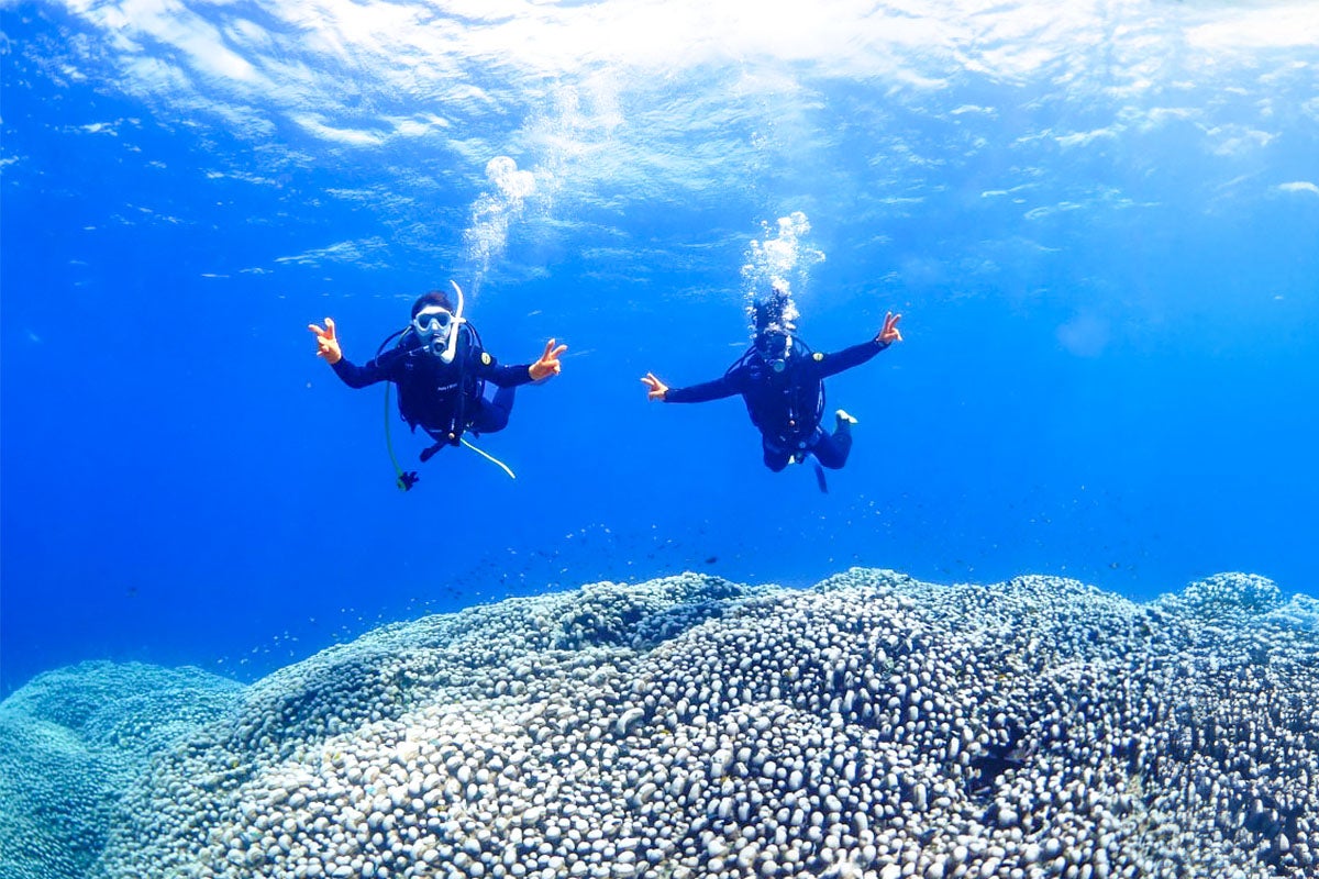 ダイビングイメージ