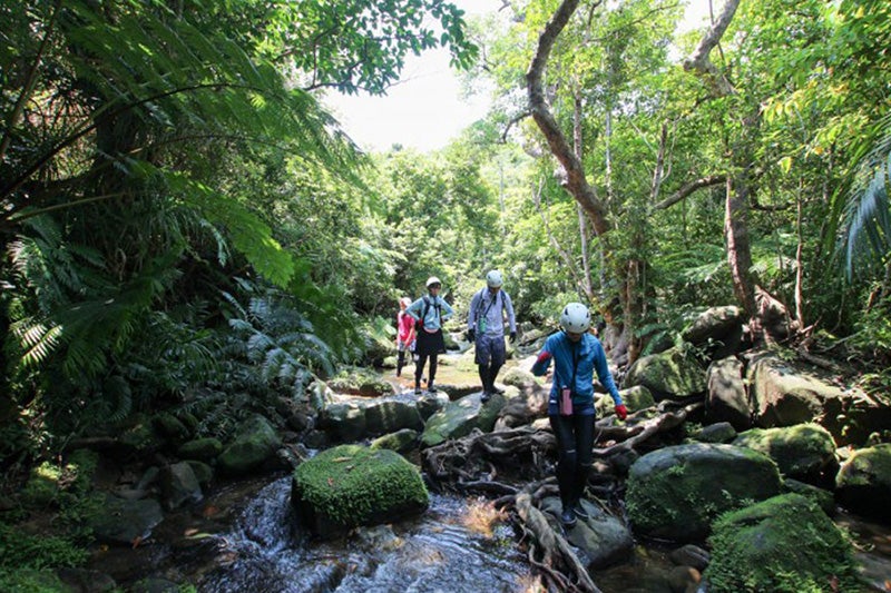 トレッキングイメージ
