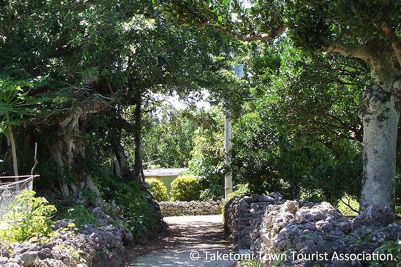 パナリ島内イメージ