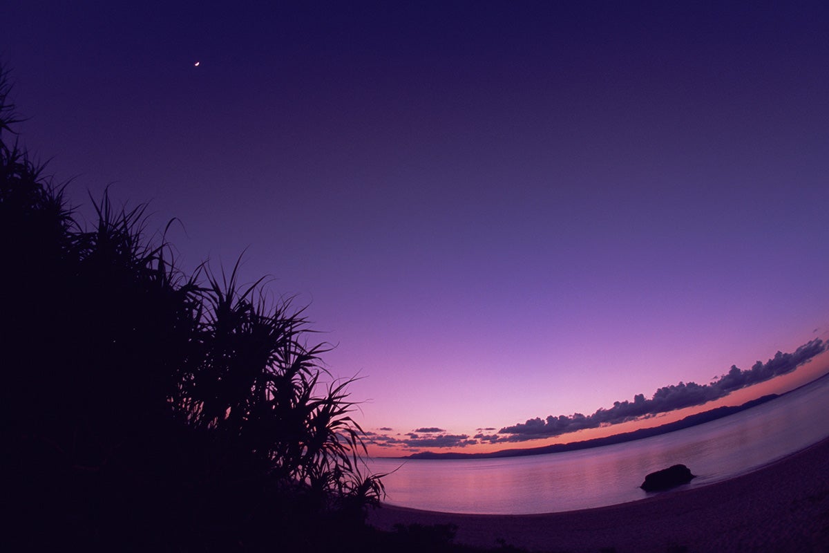 ナイトスノーケルイメージ