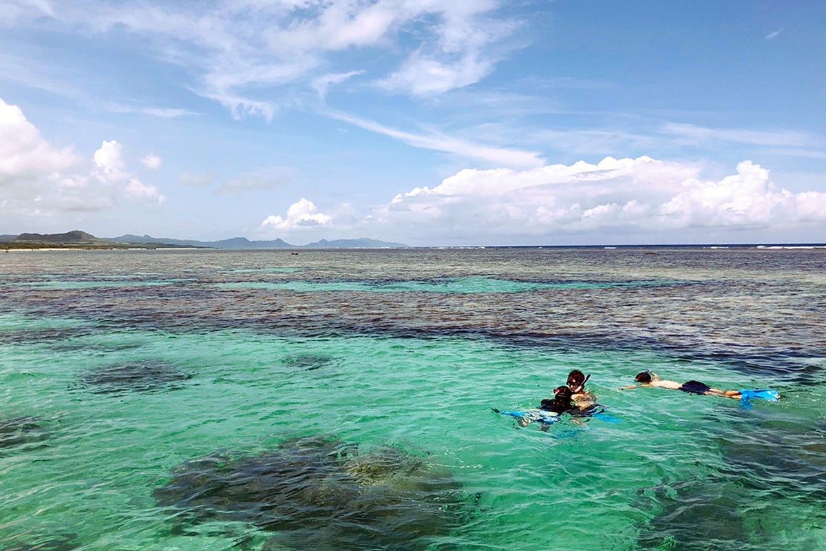 白保の海イメージ